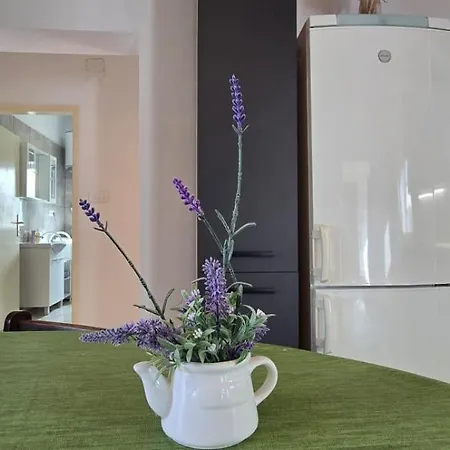 Apartments By The Sea Mirca, Brac - 5655 Apartment *